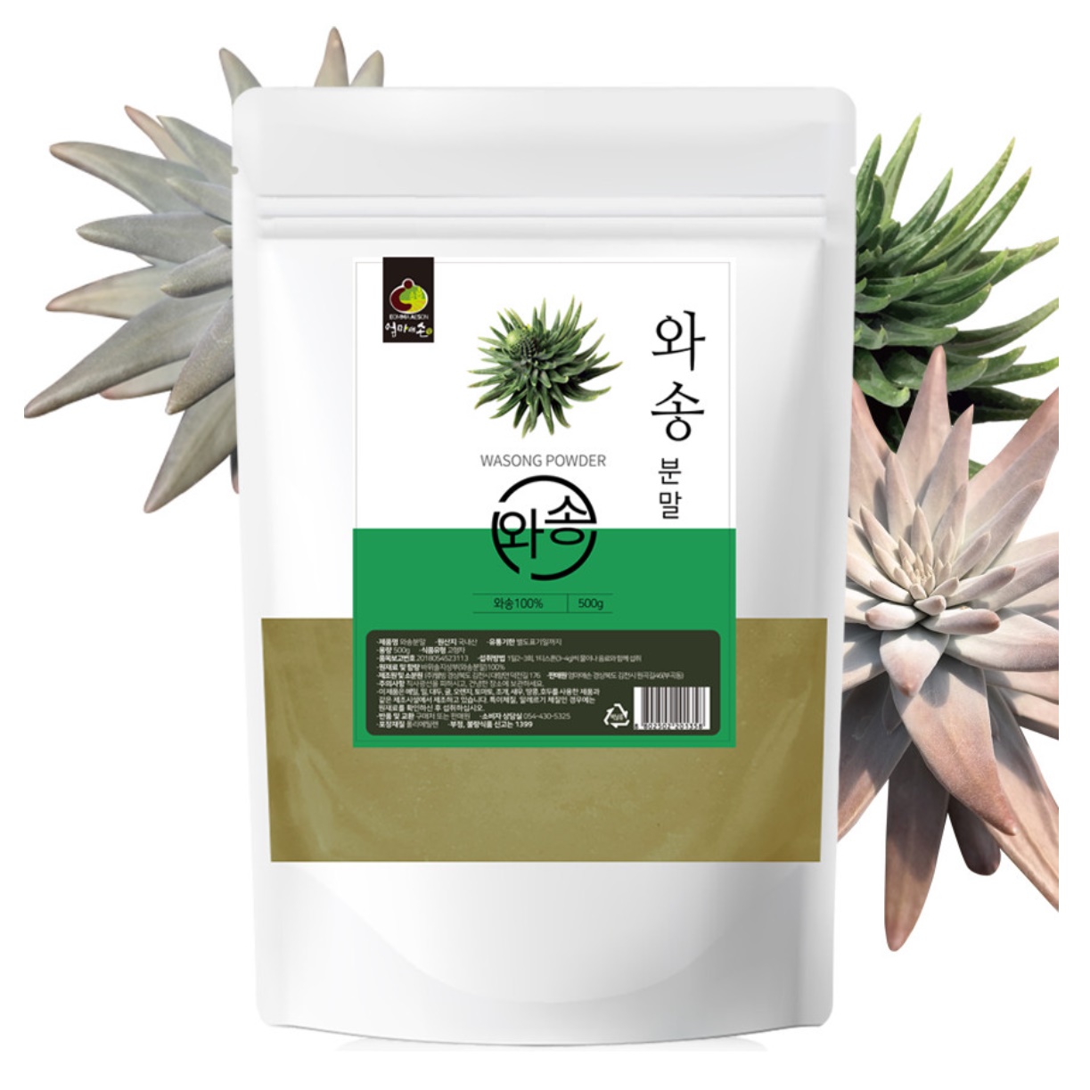 국내산 건 와송 가루 500g 분말 바위솔 먹는법 키우기 효능 효과 파는곳 파우더 - 상세 이미지 3