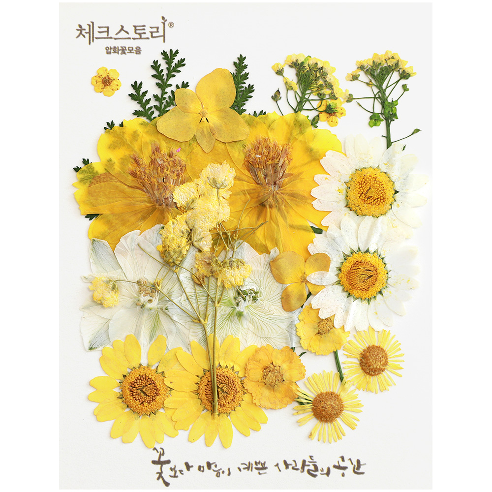 비누만들기 재료 압화 비누 DIY 놀이키트 화이트1 이미지 6