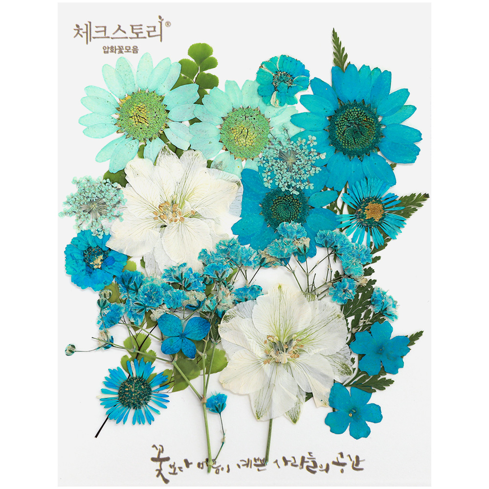 비누만들기 재료 압화 비누 DIY 놀이키트 화이트1 - 상세 이미지 5