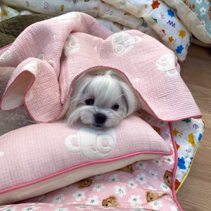 강아지이불 거즈 애견 부드러운 사계절 담요 강아지블랭킷 곰돌이 푸푸블랭킷... 솔직 후기 | 실제 사용자 리뷰 총정리 - 상품 이미지 2