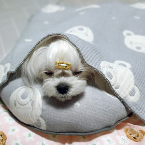 강아지이불 거즈 애견 부드러운 사계절 담요 강아지블랭킷 곰돌이 푸푸블랭킷... 솔직 후기 | 실제 사용자 리뷰 총정리 - 상품 이미지 3