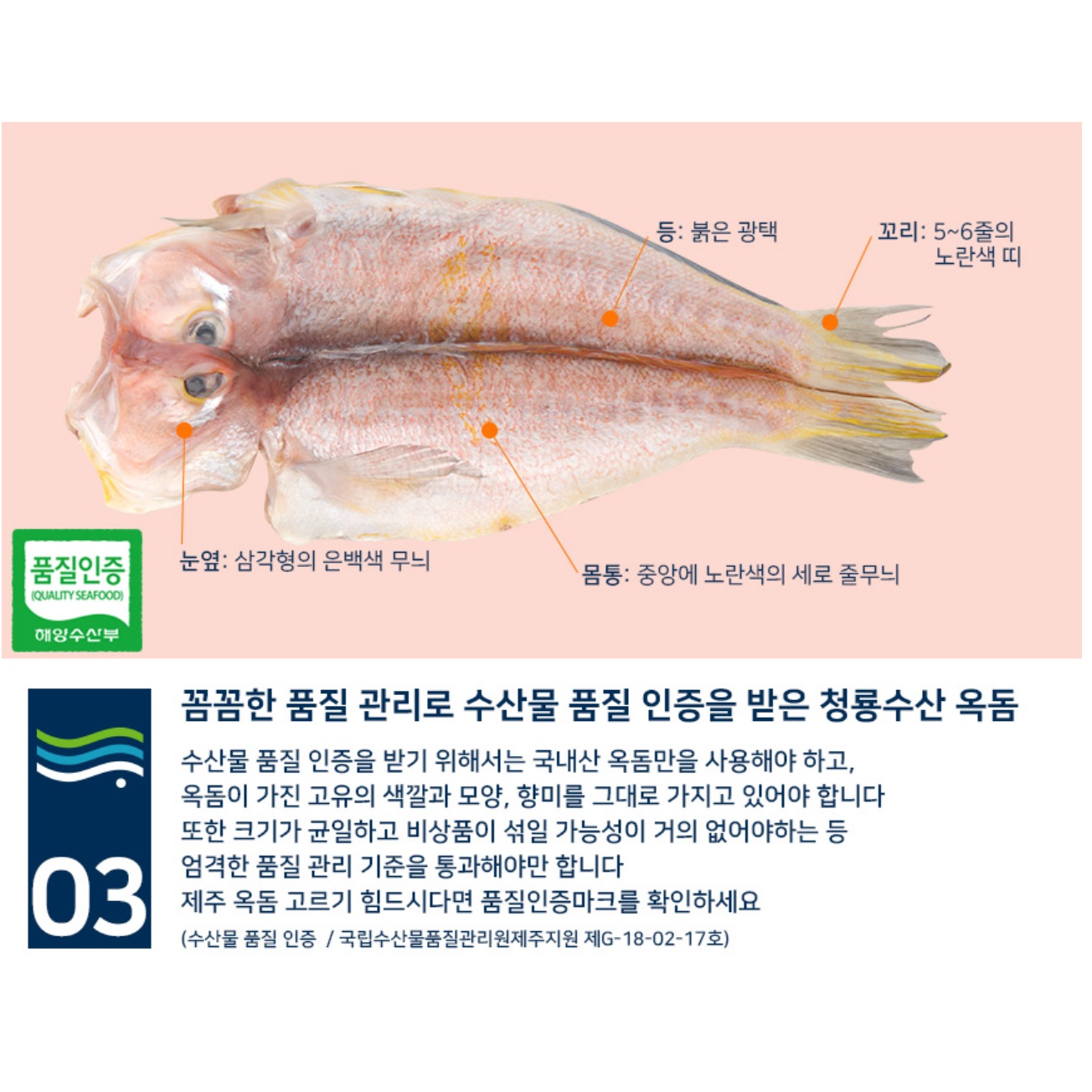 제주 옥돔 선물 셋트 제주산 옥돔 냉동 명품 옥돔 1호 - 상세 이미지 3