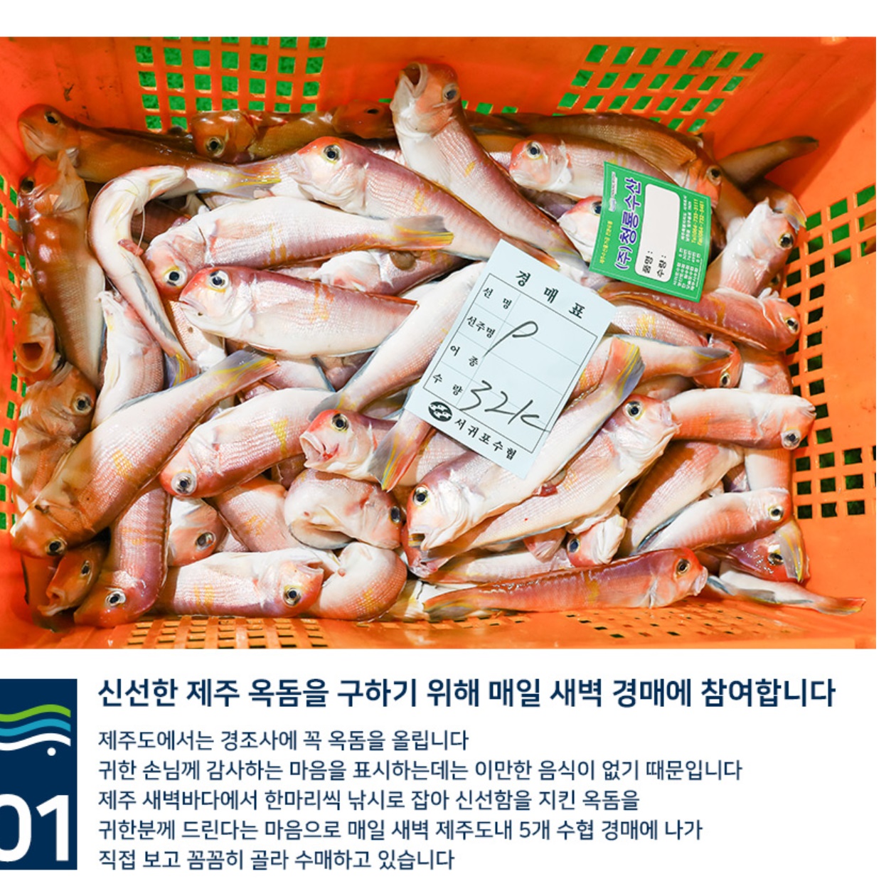 제주 옥돔 선물 셋트 제주산 옥돔 냉동 명품 옥돔 1호 - 상세 이미지 5