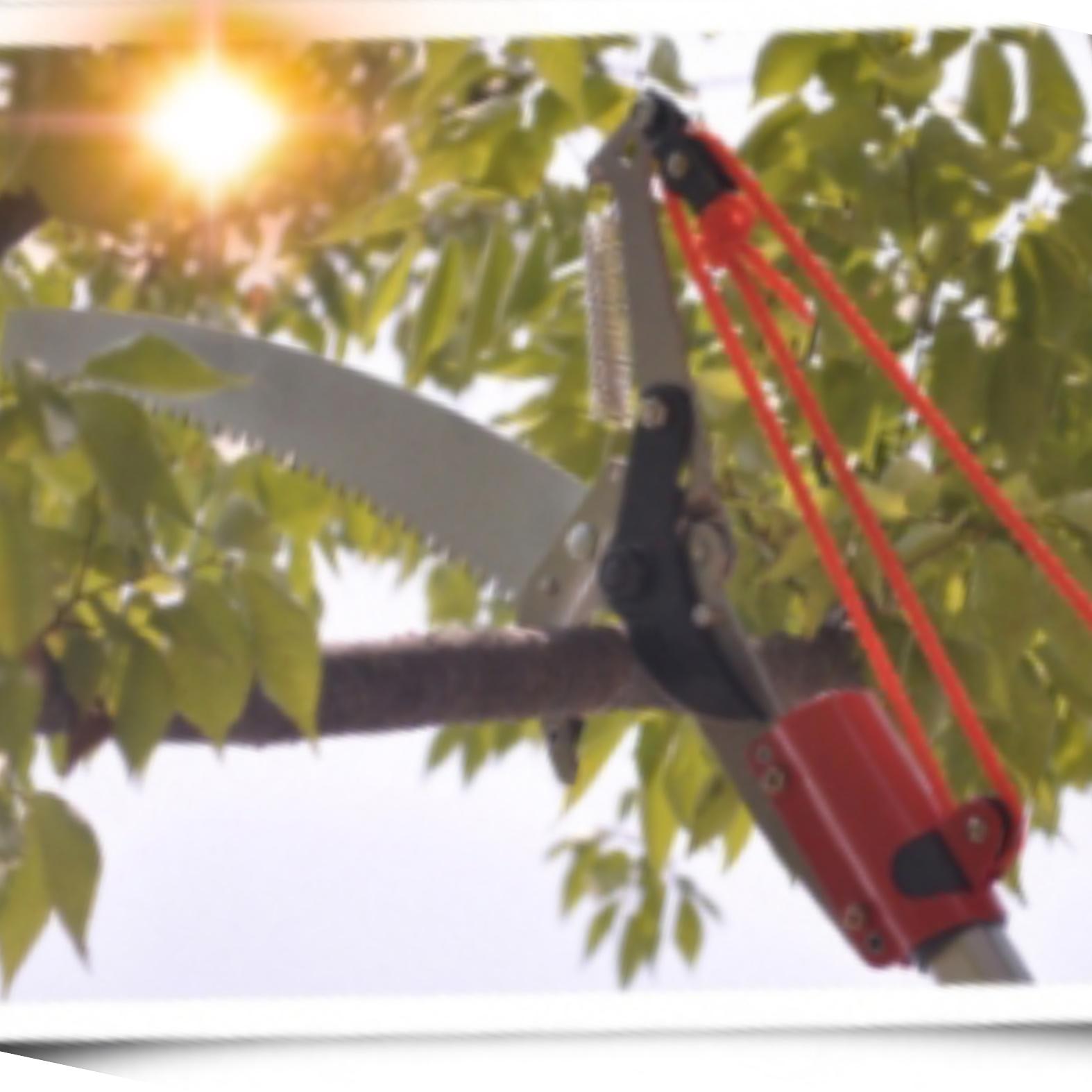 높은나무가지치기 소나무 전지 가위 나무고지가위