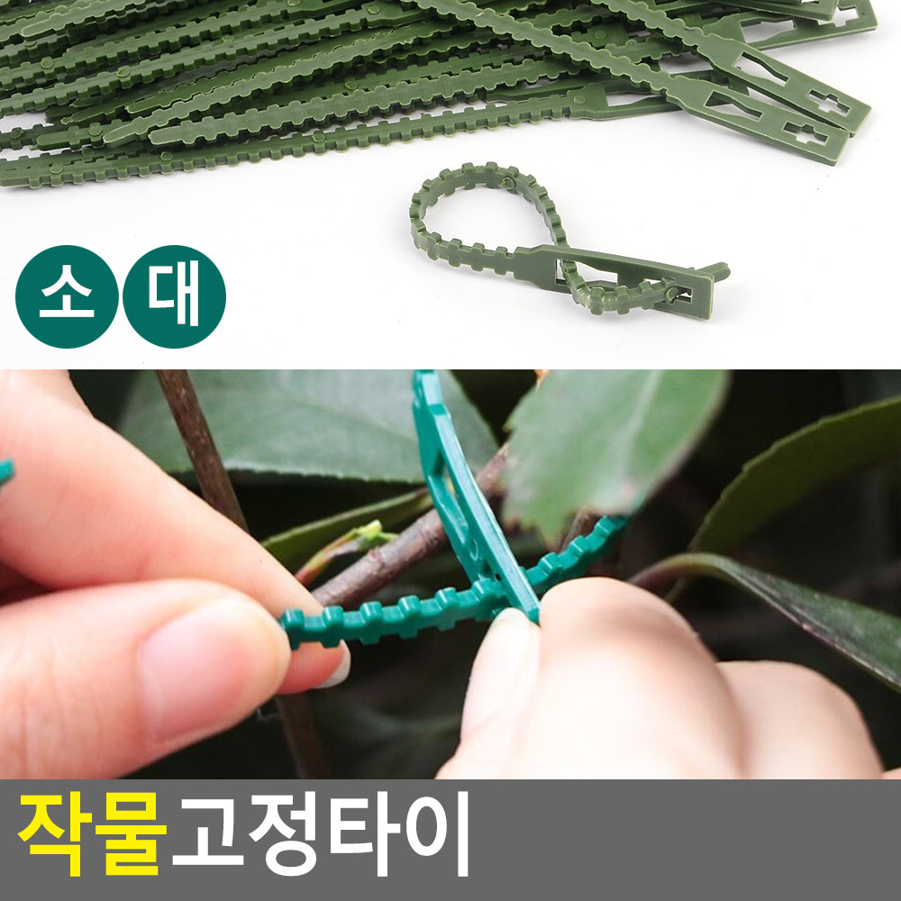 식물 고정핀 포도 호박 오이 고추 대 끈 클립 타이 - 상세 이미지 5