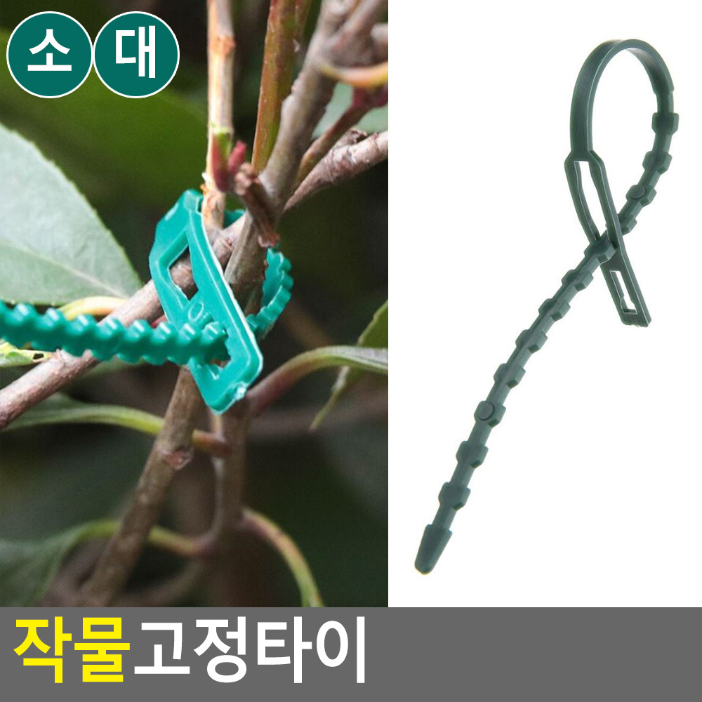 식물 고정핀 포도 호박 오이 고추 대 끈 클립 타이 - 상세 이미지 4