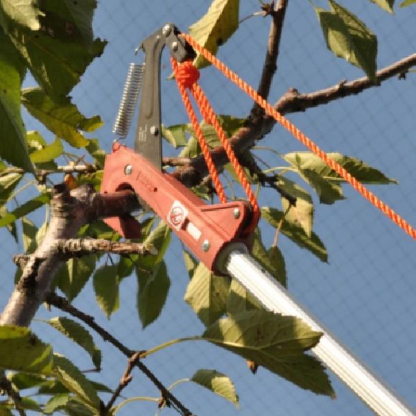 소나무 전지 가위 나무고지가위 높은나무가지치기