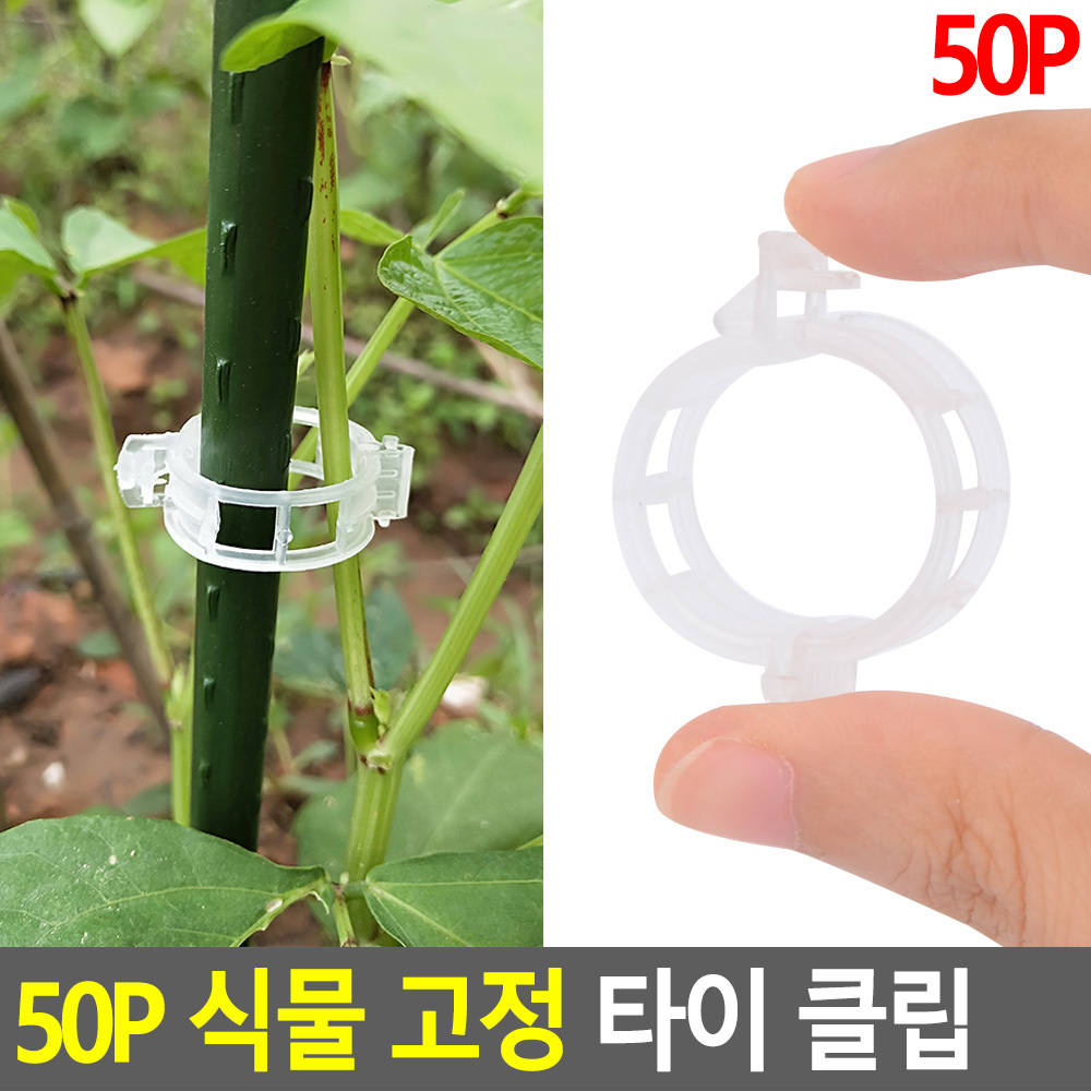 식물 고정핀 집게 포도 호박 오이 고추 대 끈 클립 - 상세 이미지 4