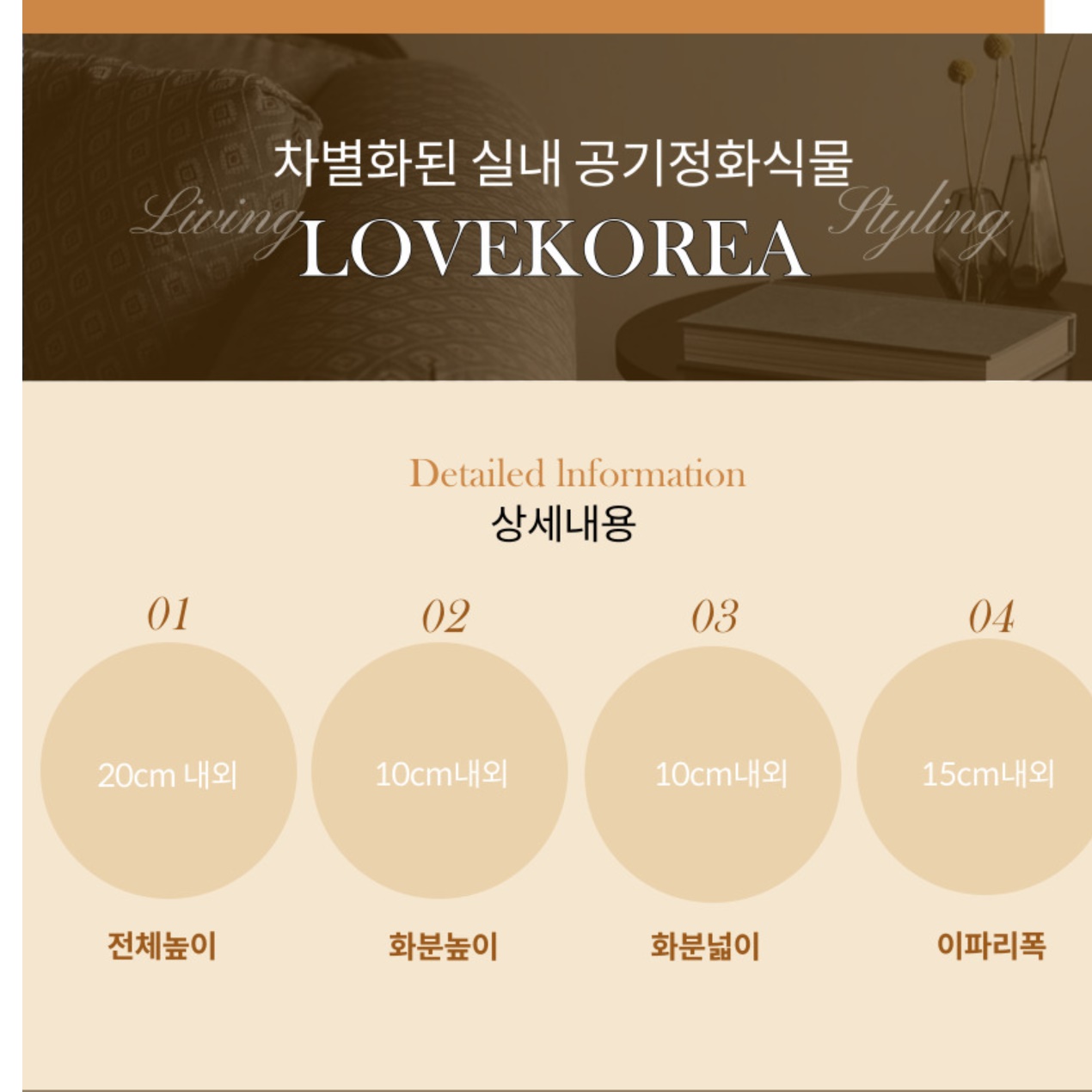 거실 화초 실내 화분 거실 식물 겨울 카페 화분 나무