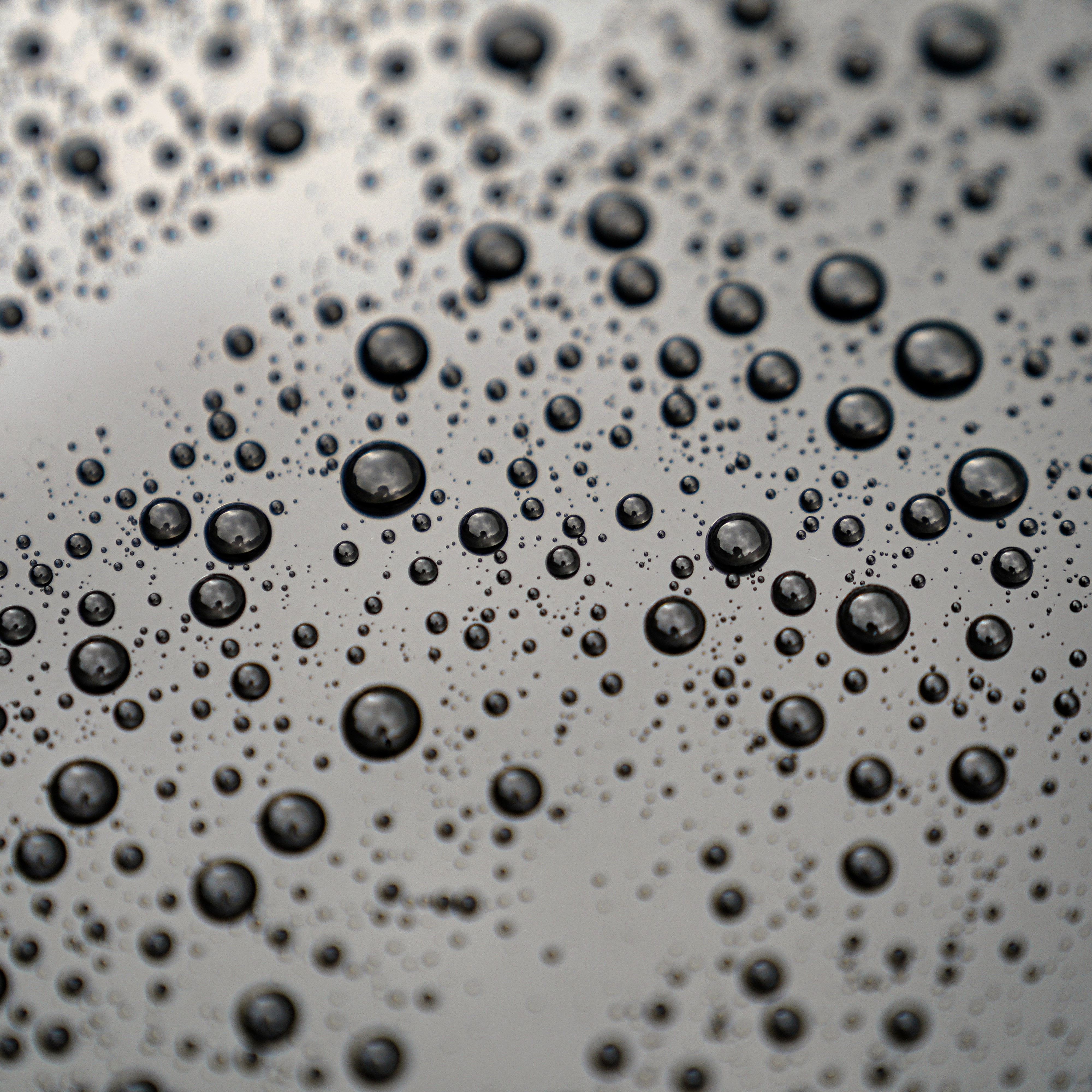 폼포나치 유리막크리너 200ml 자동차 세차 발수 유리막코팅 관리 올인원 코팅제