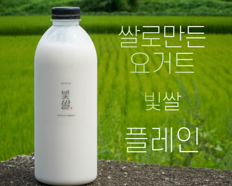 빛쌀 식물성 유산균음료 플레인 참드림 골든퀸 3호 쌀 품종별 맛보기세트 - 상세 이미지 3