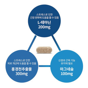 굿데이 테아닌 로디올라 30정 1개월분 맛있게 먹은 솔직 후기 - 상품 이미지 4