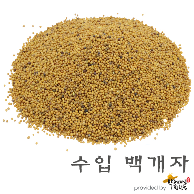 한방재료 수입 백개자 600g 건강 차용 재료 - 상품 이미지