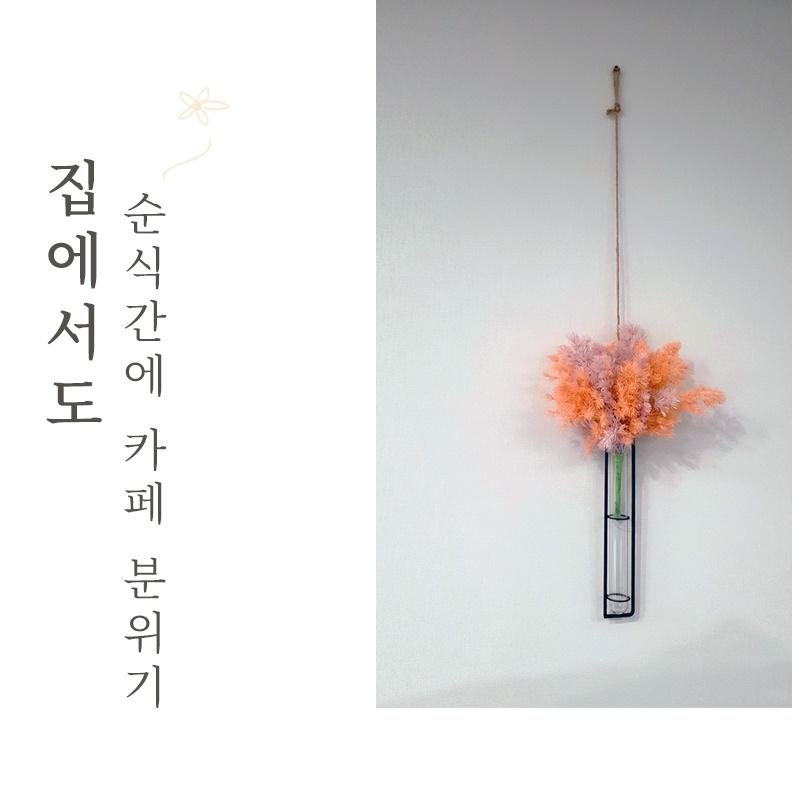 소형 공중식물 행잉 벽걸이식물 화장실식물 실내 - 상세 이미지 4