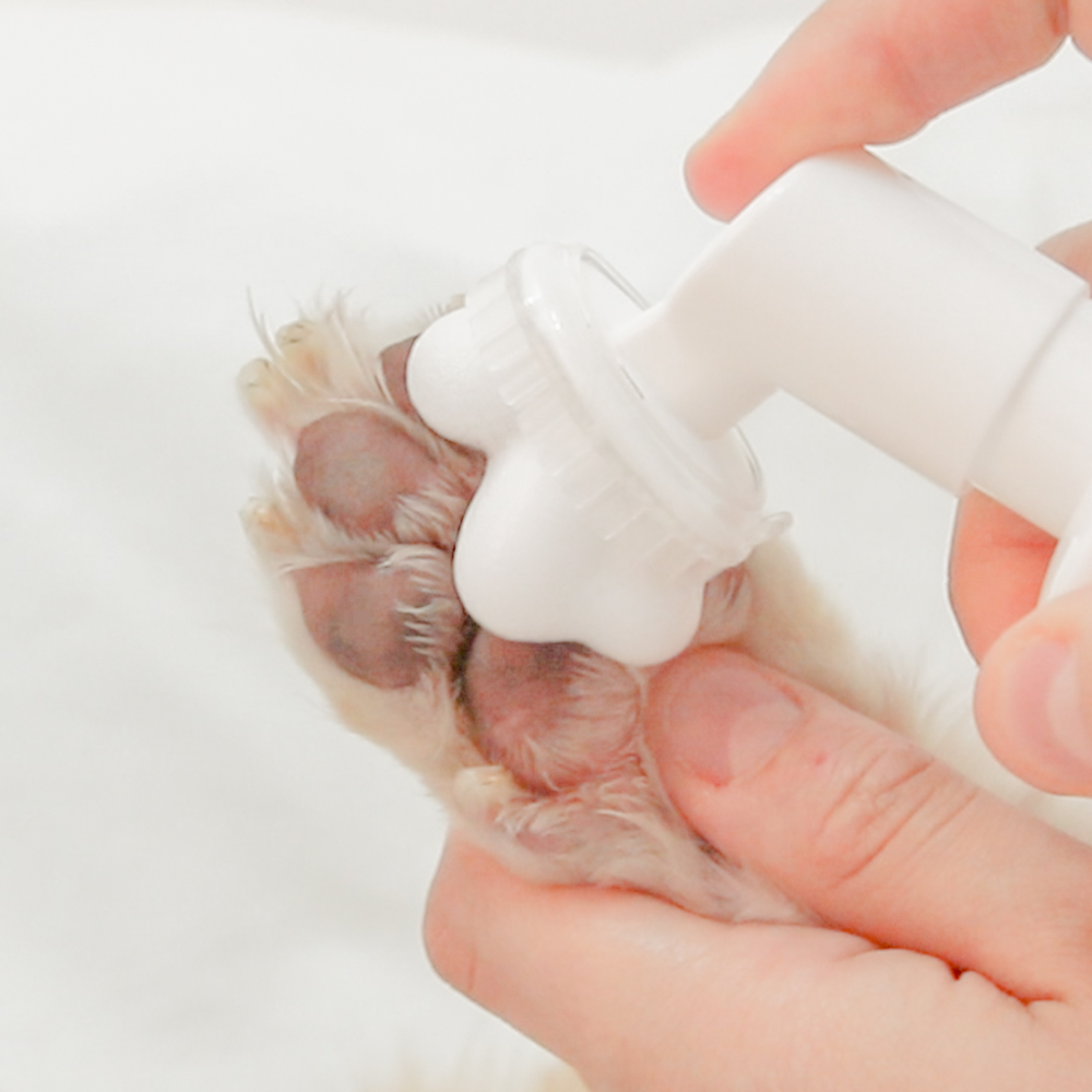정글몬스터 뽀독뽀독 워터리스 강아지 발 세정제 샴푸 150ml 산책 발바닥 발사탕 - 상세 이미지 2