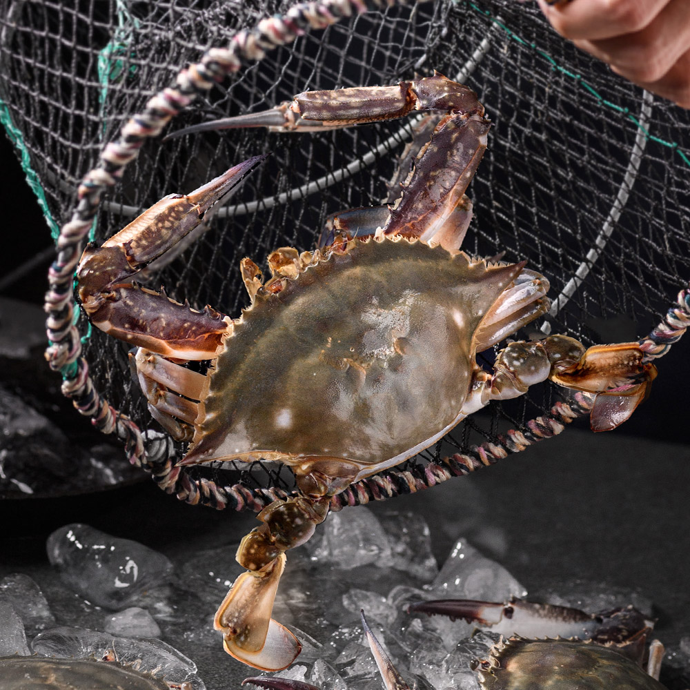 제철 꽃게 1kg 가을 봄 산지직송 숫꽃게 암꽃게