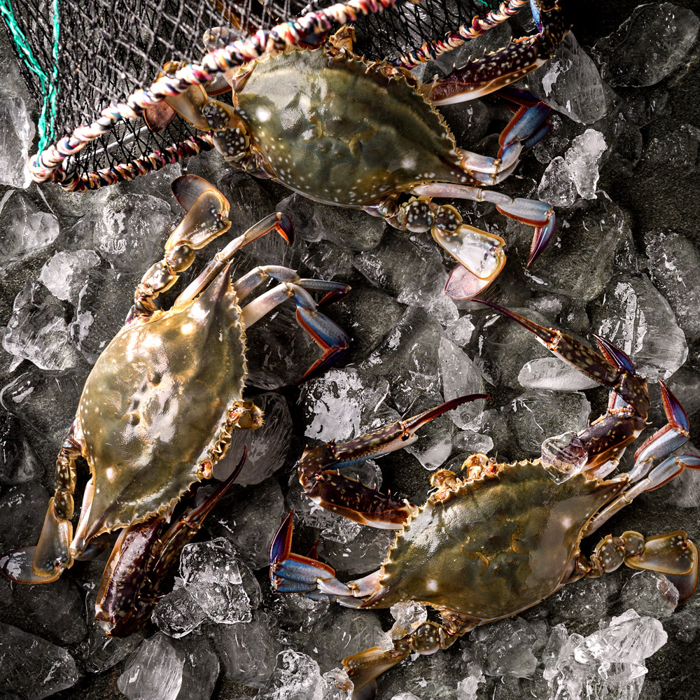 제철 꽃게 1kg 가을 봄 산지직송 숫꽃게 암꽃게
