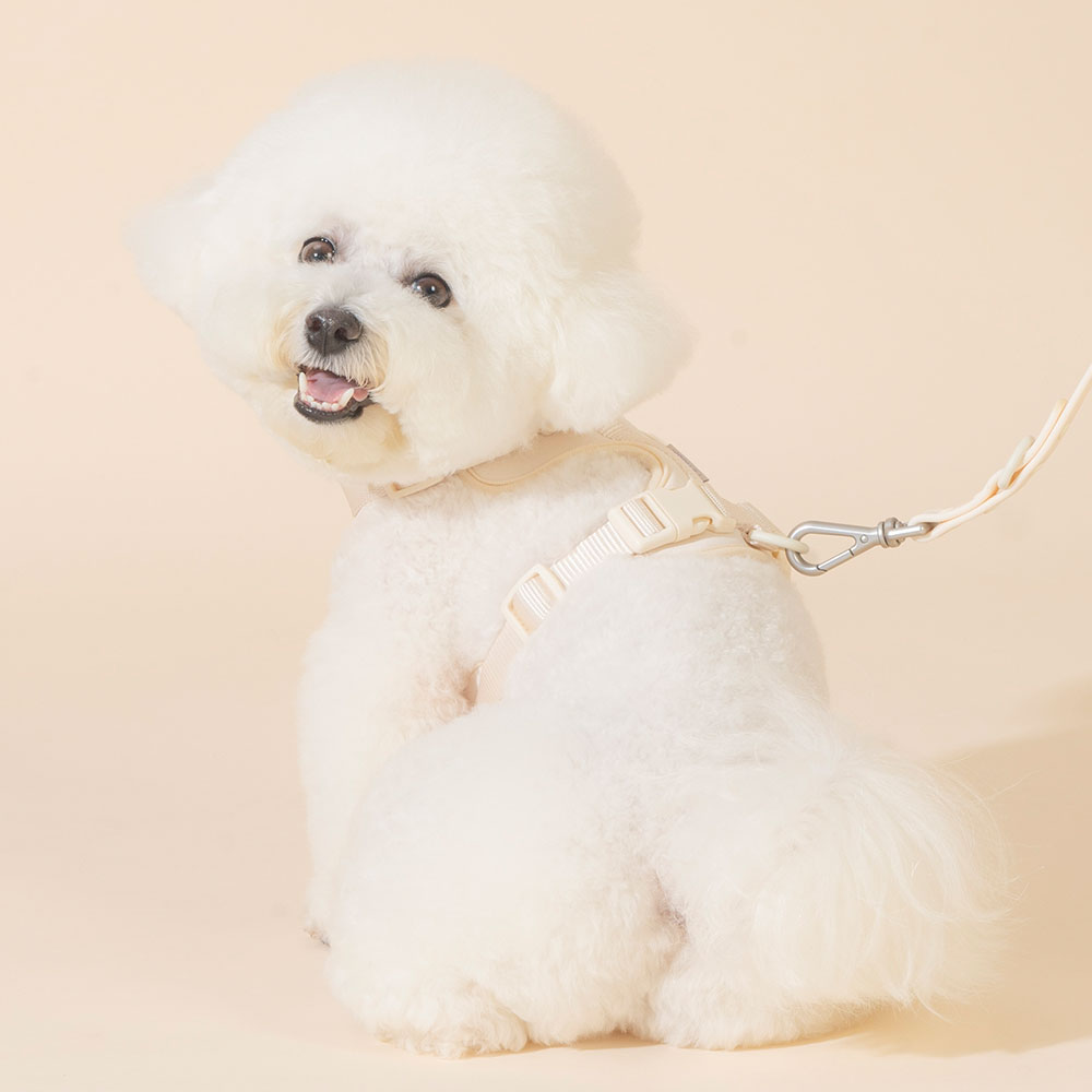 펫트리움 편안하네스 S 강아지 고양이 산책