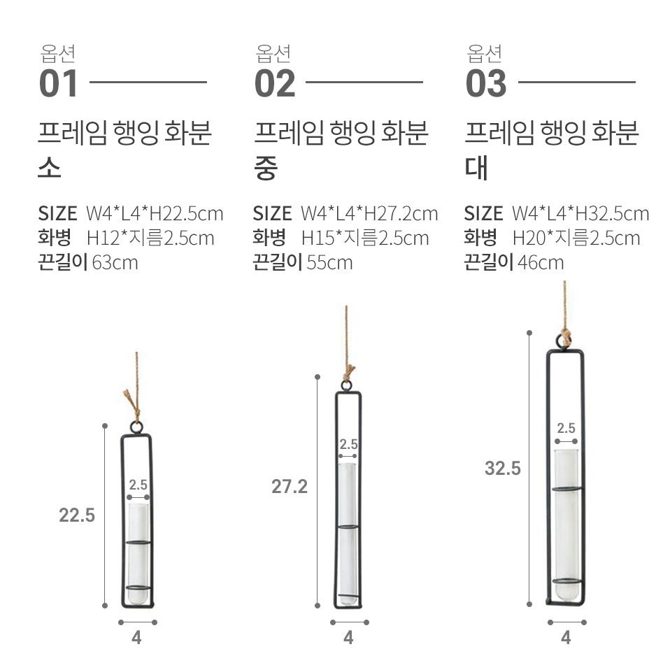 소형 공중식물 행잉 벽걸이식물 화장실식물 실내 - 상세 이미지 2