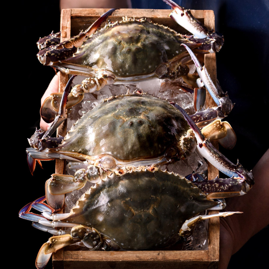 제철 꽃게 1kg 가을 봄 산지직송 숫꽃게 암꽃게 사진 4