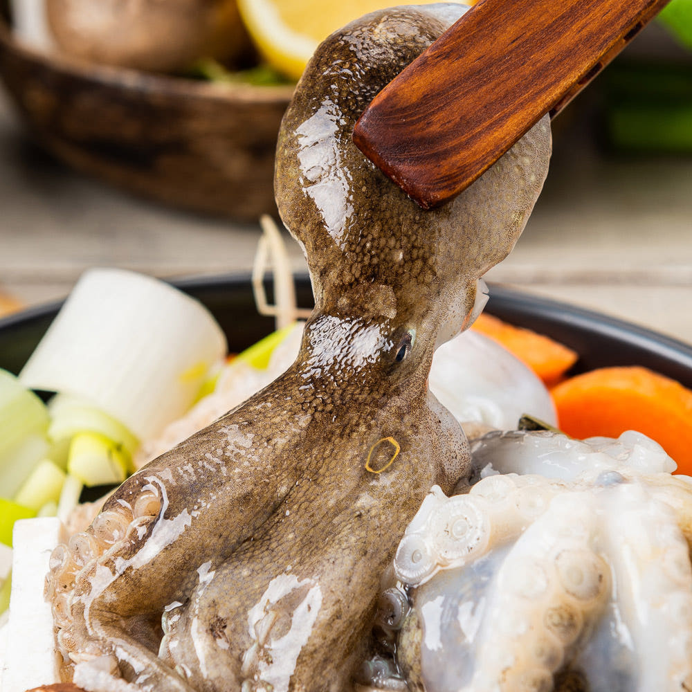 싱싱한 국내산 활 쭈꾸미