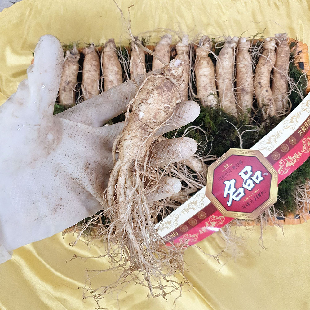 금산수삼시장 인삼선물세트 원수삼 소1채 750g - 상세 이미지 3