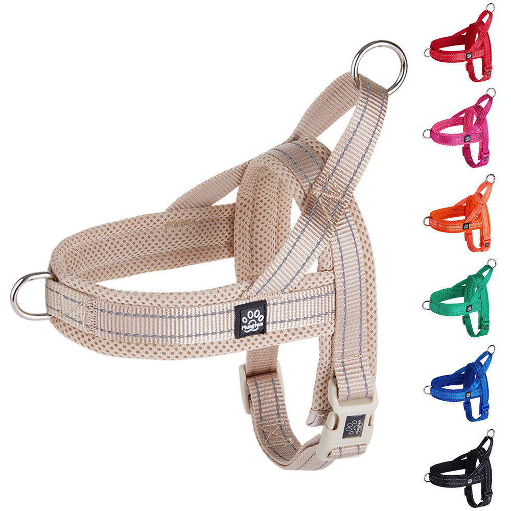 강아지 하네스 앞섬방지 앞고리 가슴줄 XXS 소형견