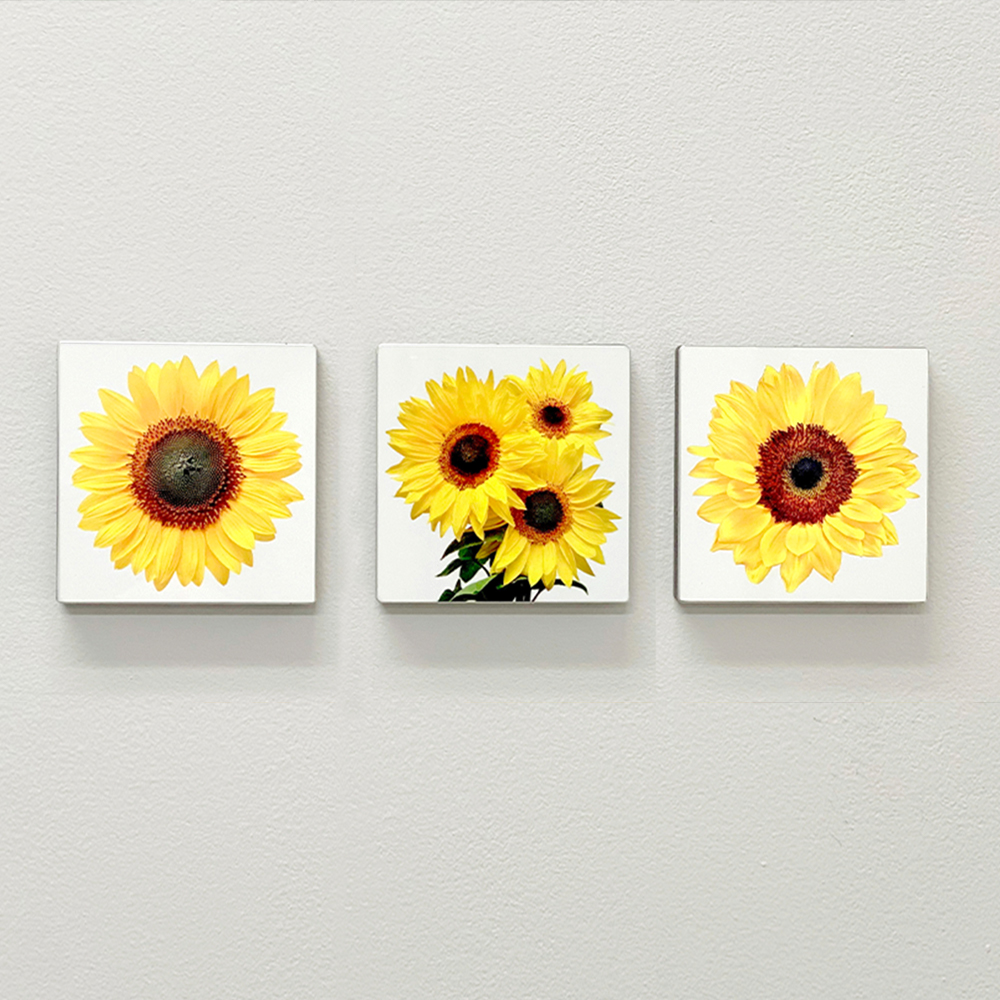 해바라기그림액자 돈들어오는 그림 거실 인테리어 풍수액자 꽃 소형