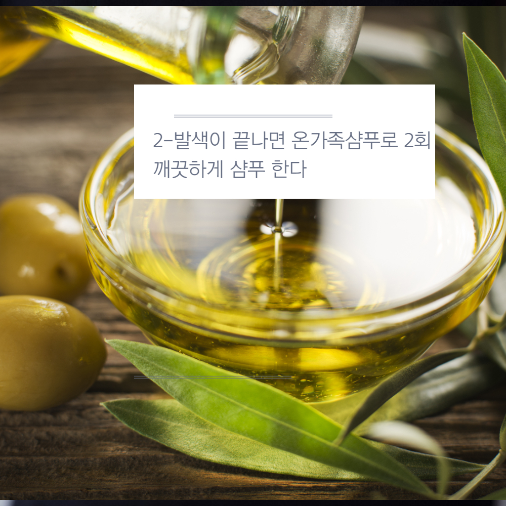 전문가 개발 셀프헤어클리닉 관리 이지후 모발화장품 극손상용 세트 : 주식회사이지후그린과학