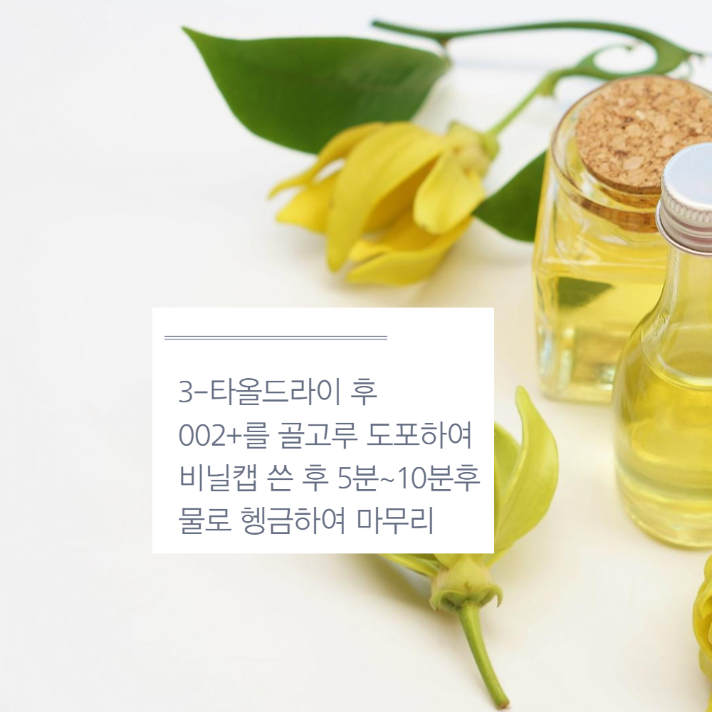 전문가 개발 셀프헤어클리닉 관리 이지후 모발화장품 극손상용 세트 : 주식회사이지후그린과학