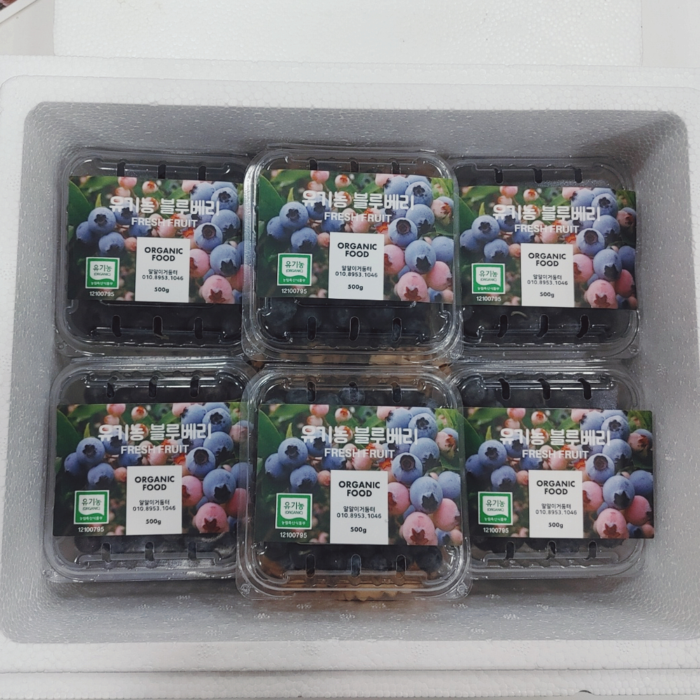 유기농 블루베리 생과 1kg (9월수확) 열매 추석 선물 돌상 과일 수험생 답례품 이미지 7