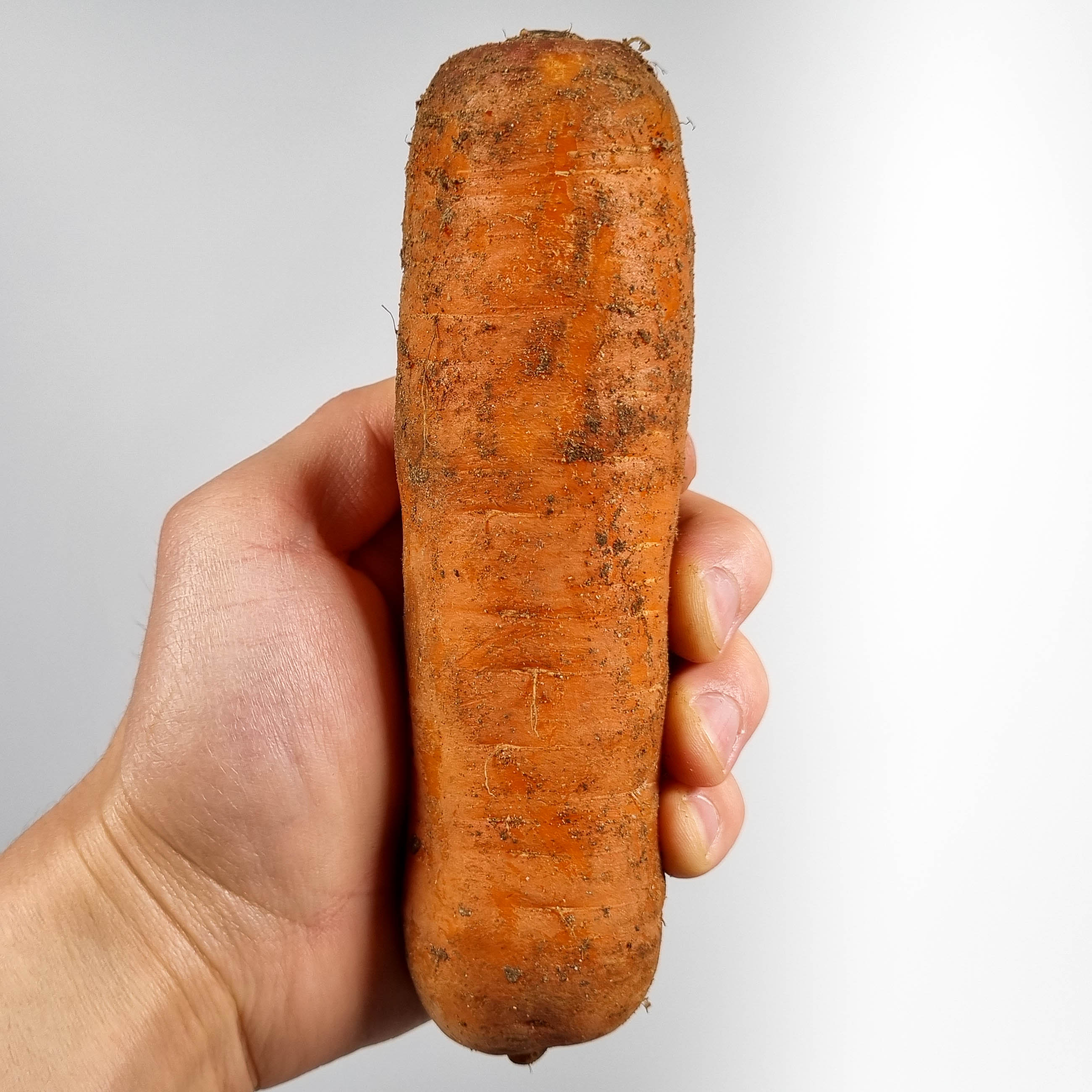 흙당근 반찬 카레용크기 3kg, 1개 이미지 7