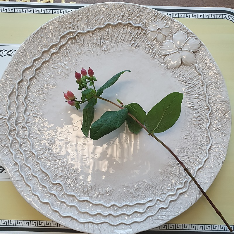 C형 (28cm 디너접시) 이탈리아 엘리오스 마이플라워 28cm 디너접시 3452 - 메인 이미지