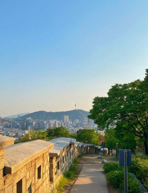 한국 일일투어|서울 낙산공원,응봉산팔각정,용양봉 야경 투어(서울 출발) 가격 추이 뜨거운청춘 한국 일일투어|서울 낙산공원,응봉산팔각정,용양봉 야경 투어(서울 출발) - 최저가 56,800원