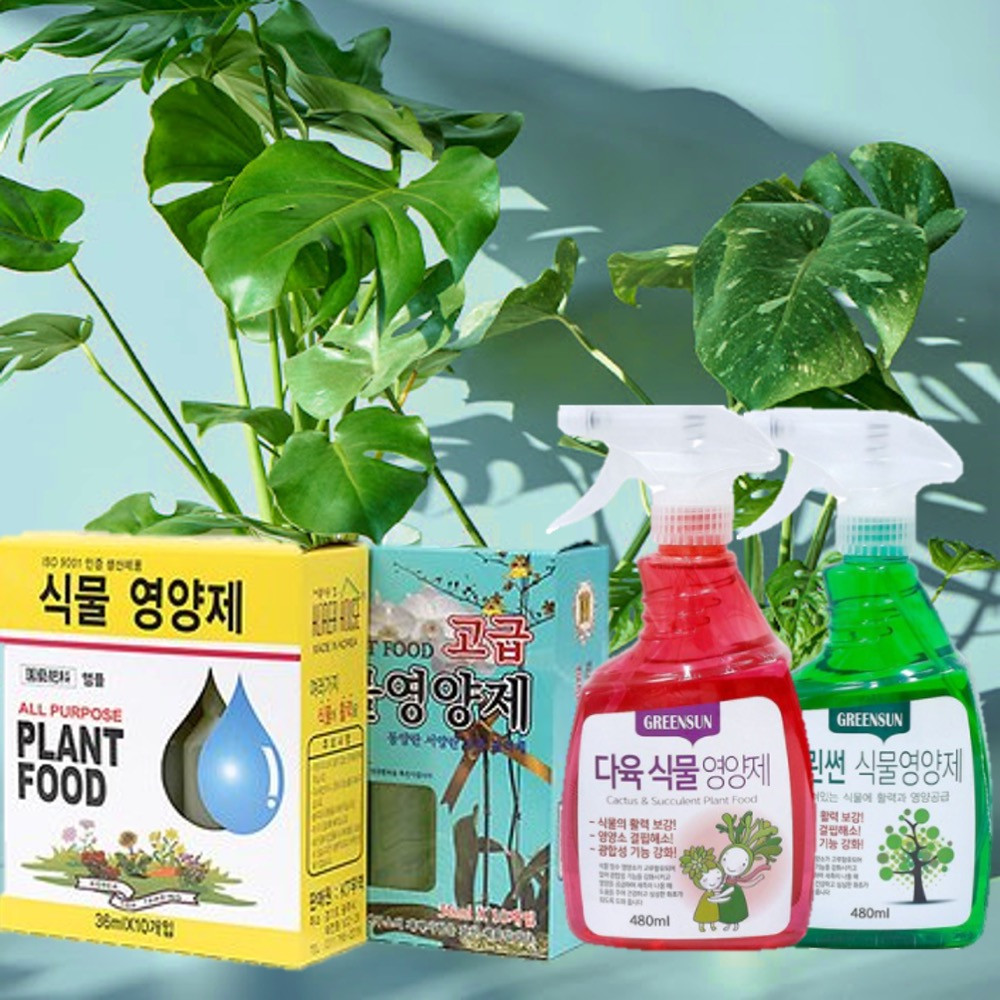 식물 영양제 앰플 10P 화분 벌레 퇴치 화초 관엽 꽃 다육 이 고무 나무 이미지 2