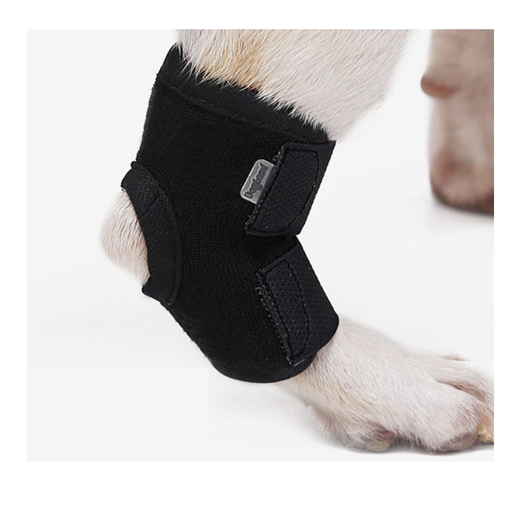 도그레미 DogLemi 강아지 슬개골보호대 탈골방지 관절보호