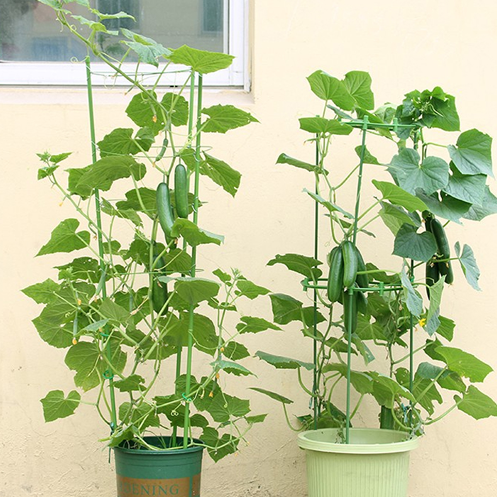 식물지지대 몬스테라 화분 화초 수태 수태봉 지지대 90-28cm 이미지 6