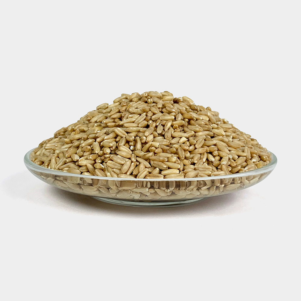 캐나다 통귀리 귀리쌀 귀리밥 1kg 귀리퐁 뻥튀기 잡곡시리얼 - 상세 이미지 2