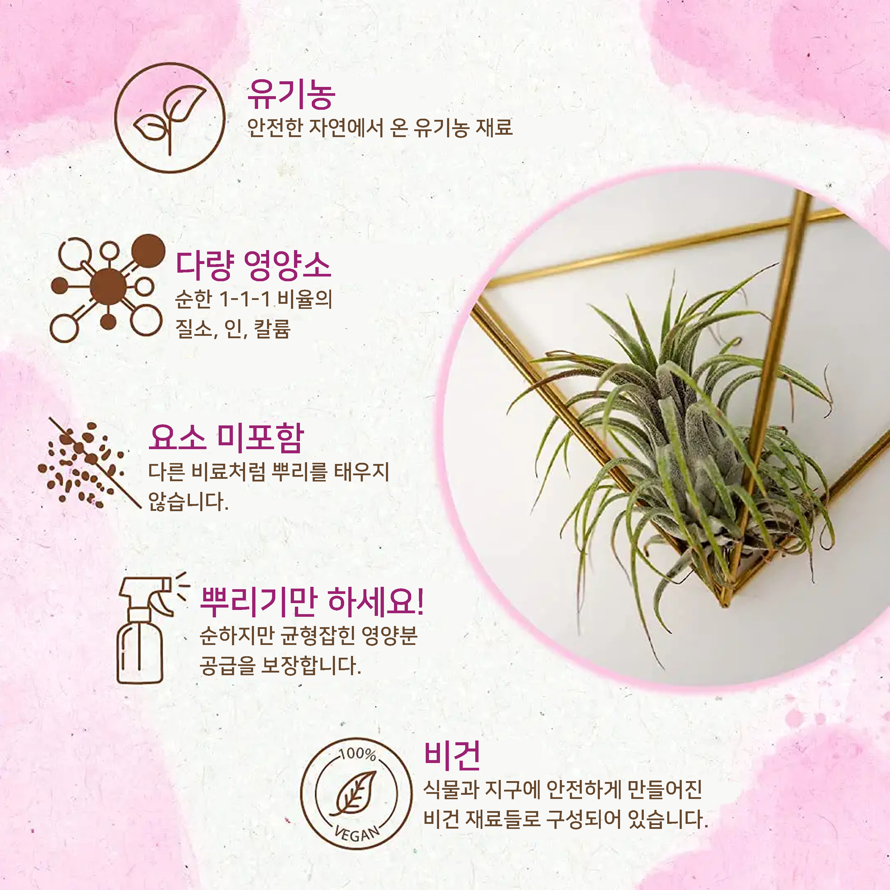 유기농 착생 식물 비료 스프레이 특징