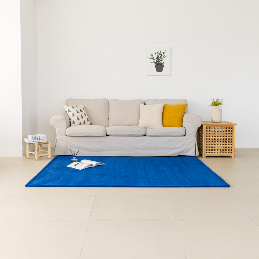 포커스 거실 러그 카페트 미니 단모 워셔블 러그 150x200