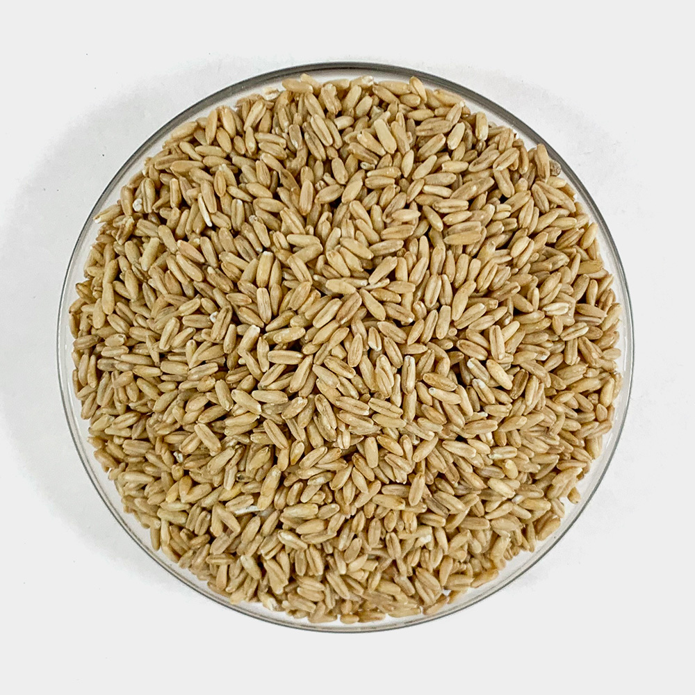 캐나다 통귀리 귀리쌀 귀리밥 1kg 귀리퐁 뻥튀기 잡곡시리얼 - 상세 이미지 3