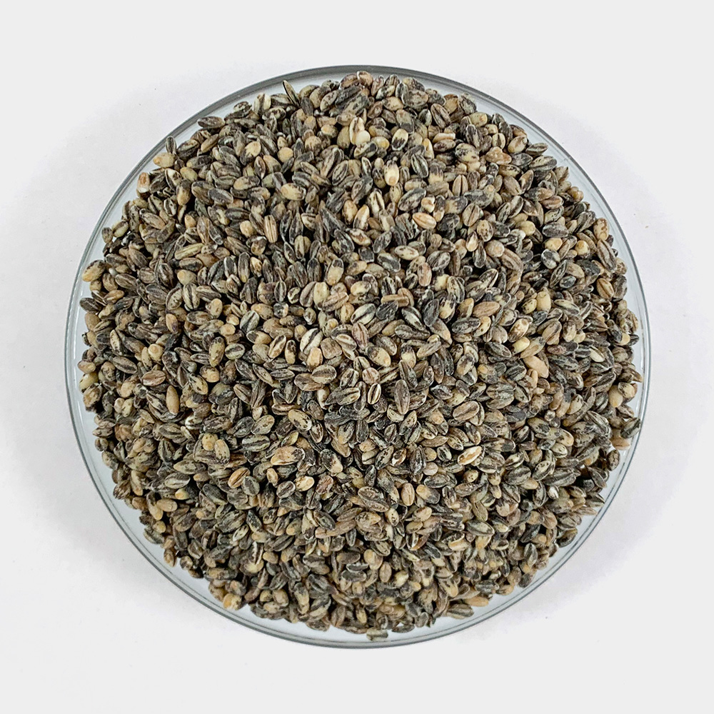 검정보리 검정보리쌀 흑보리 1kg - 상세 이미지 3