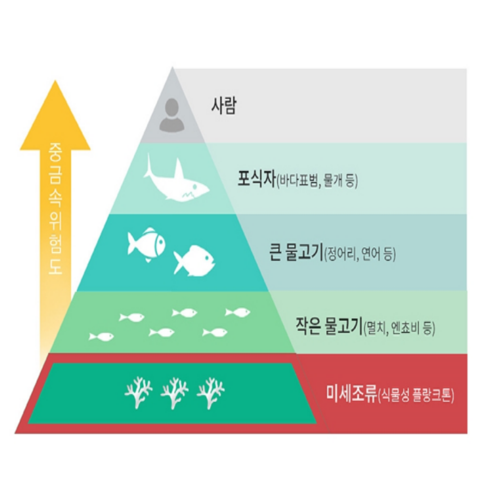 대웅생명과학 식물성 저온 초임계 알티지 RTG 미세조류 임산부 오메가3 이미지 4