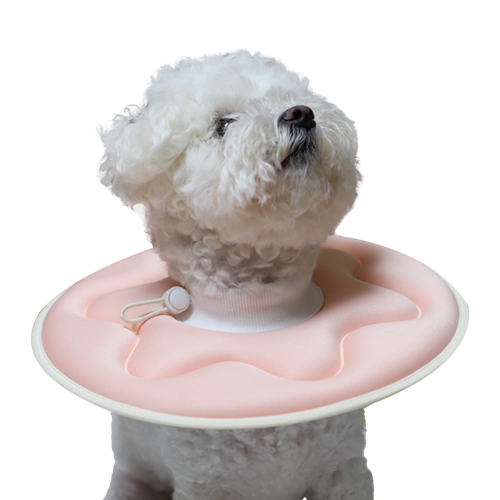 [리퍼]더플래 반반 초경량 강아지 고양이 넥카라 S