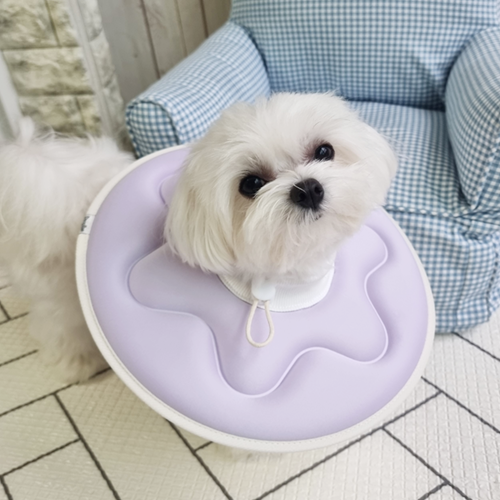 더플래 반반 초경량 강아지 고양이 넥카라 S