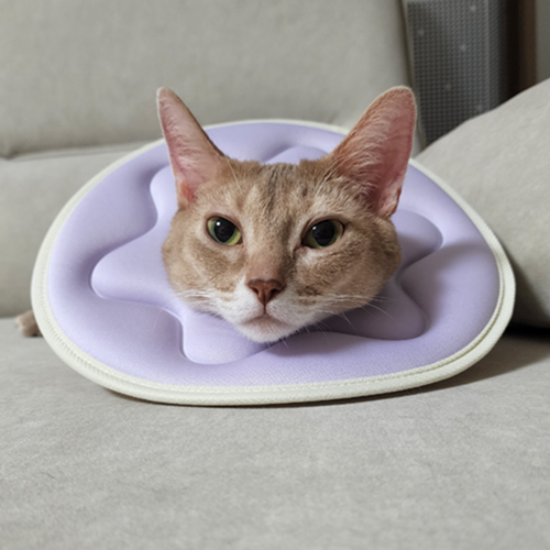 더플래 강아지 깔때기 고양이 가벼운 반반 초경량 넥카라  M