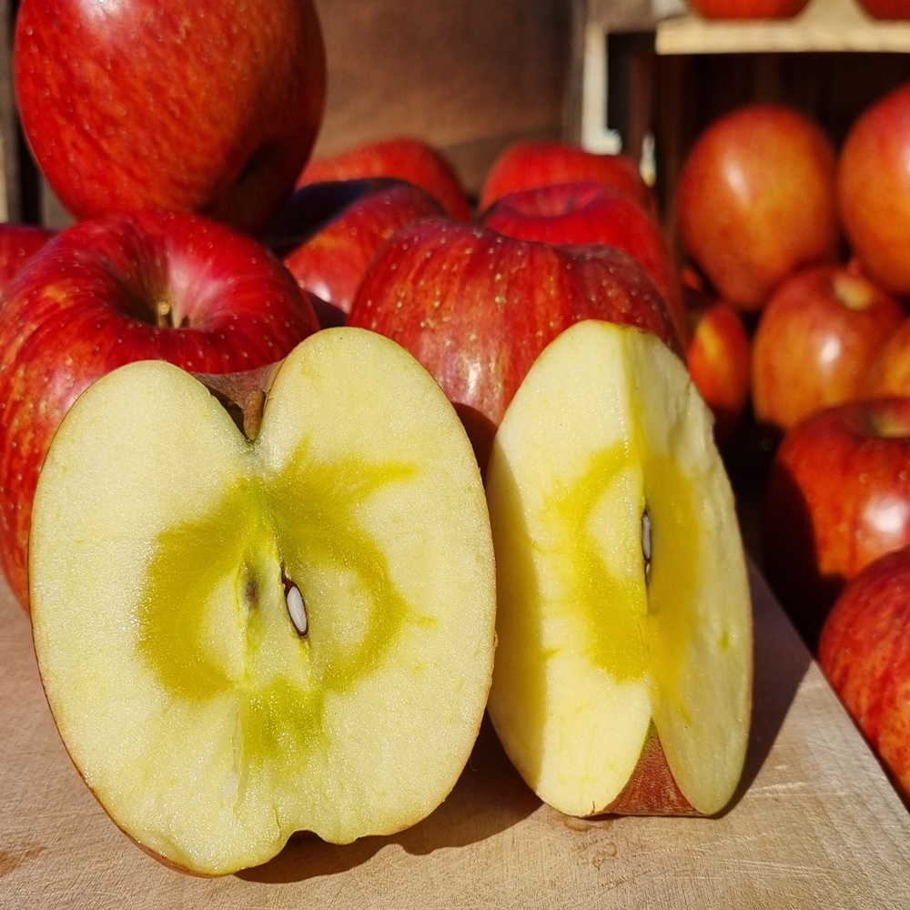 강원도 꿀사과 꼬마사과 홍로 미니사과 5kg 쥬스용 보조개사과 한입 황금사과 2kg
