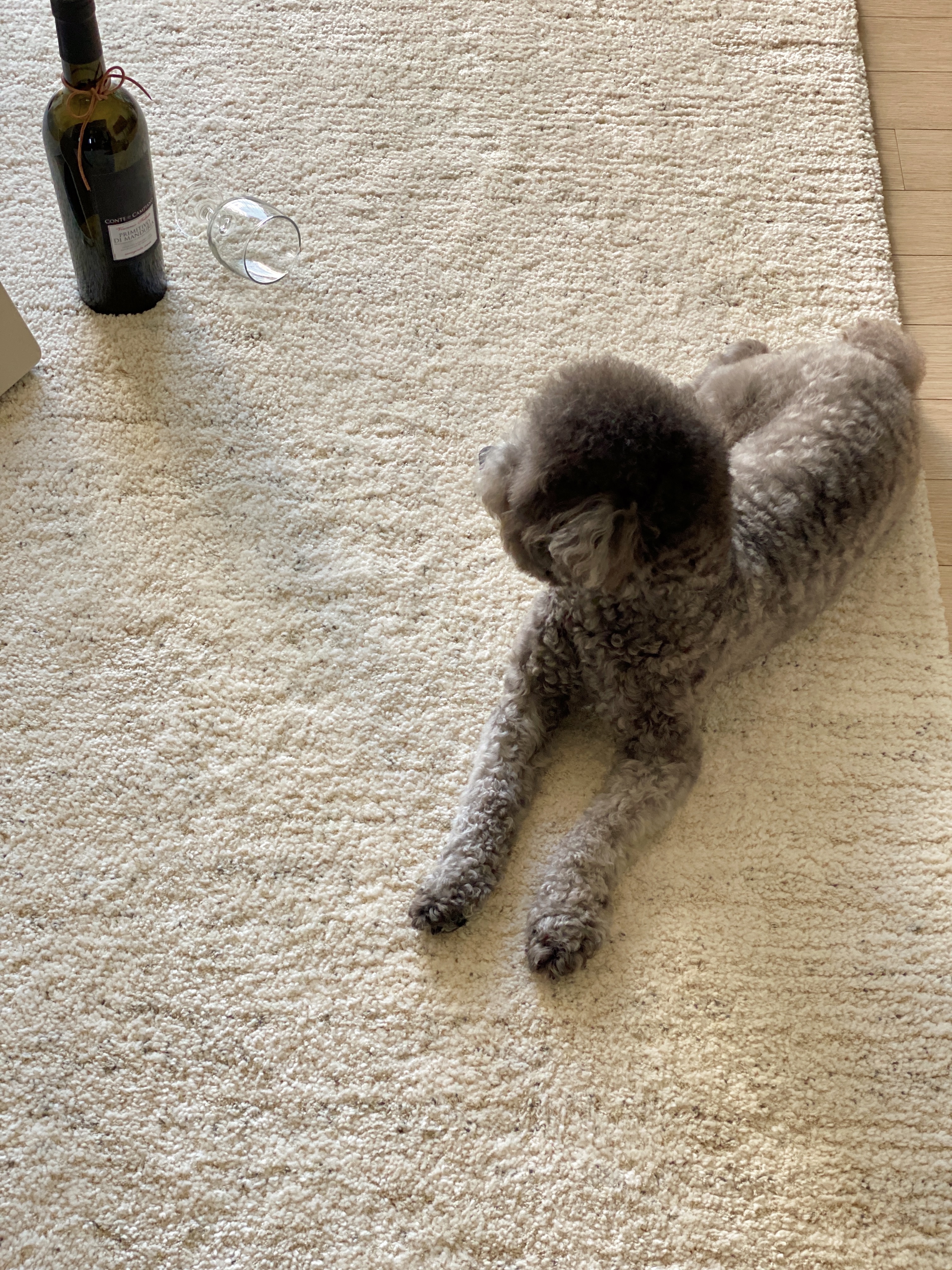 벨기에 BALTA 코지 러그 거실 카페트 사계절 고밀도