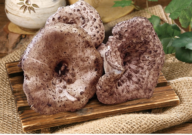 국내산 자연산 능이버섯 1kg 생물 백화점 고급 버섯 선물 세트 국산 추석 부모님 선물용 - 상세 이미지 2