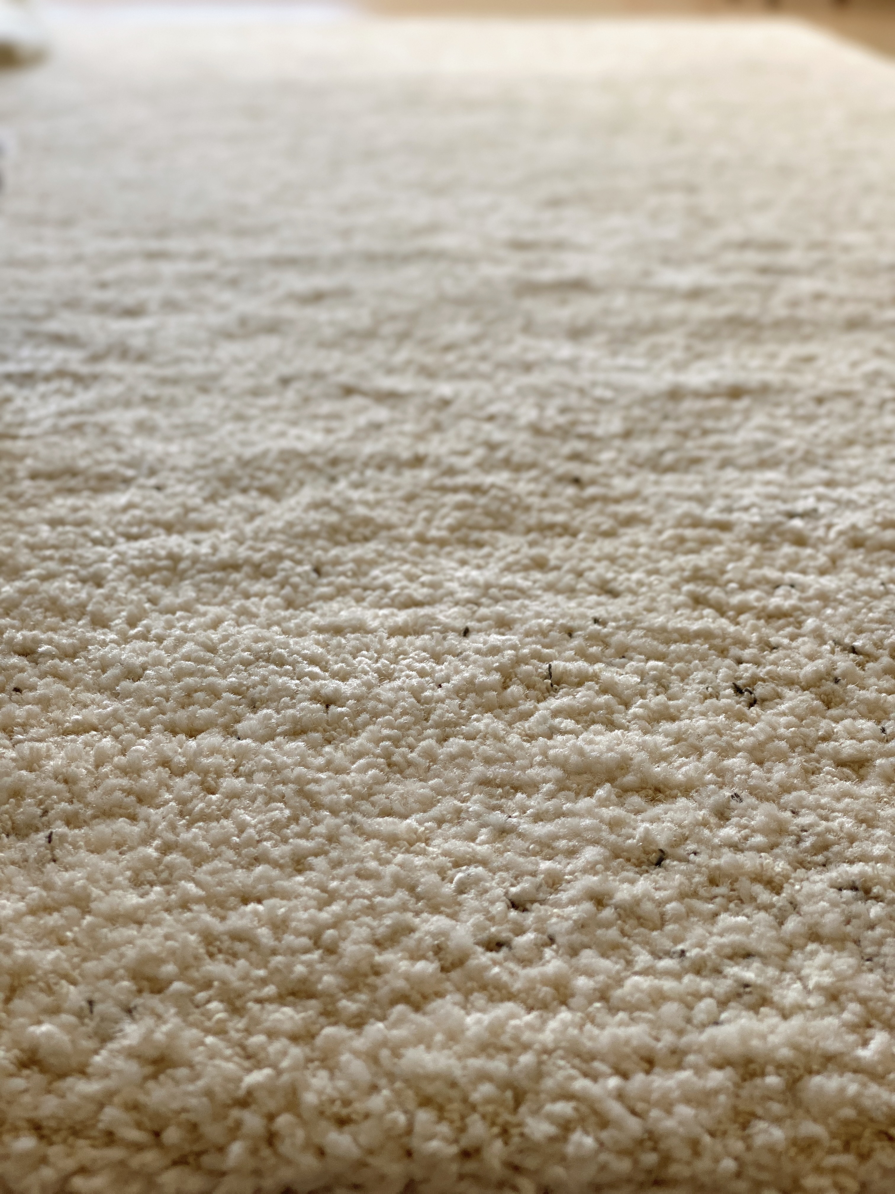 벨기에 BALTA 코지 러그 거실 카페트 사계절 고밀도